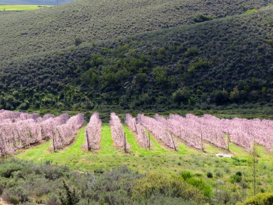 Commercial Property for Sale in Montagu Rural Western Cape